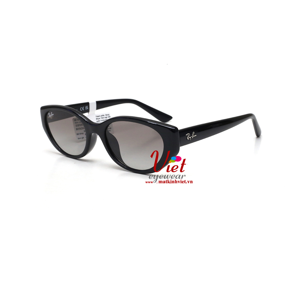 Kính mát RayBan RB4457D  6677/11 